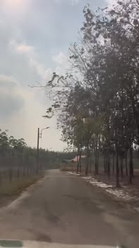 Đất nền Bến Cát 780m² giá thỏa thuận - Đầu tư sinh lời ngay!