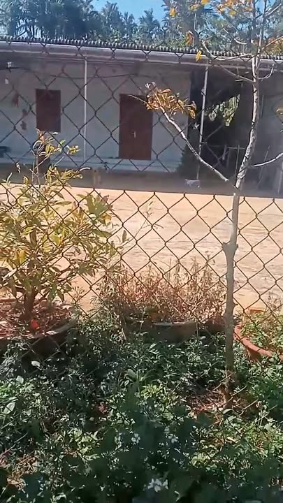 Đất nền 5184m² xã Nâm N'Jang, Đắk Song giá chỉ 1.2 tỷ - Cơ hội đầu tư hấp dẫn!