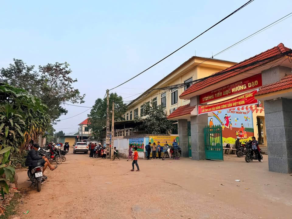 Đất nền thổ cư 100m² tại Hướng Đạo, Tam Dương - Giá chỉ 1.1 tỷ - Sổ đỏ chính chủ!