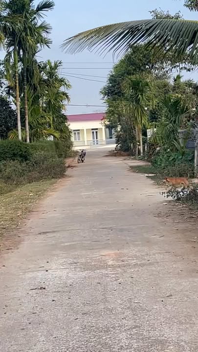 Đất nền xã Ea Ktur, Đắk Lắk 150m² giá chỉ 380 triệu - Sẵn sàng đầu tư ngay!