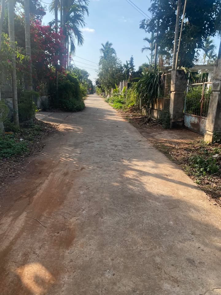 Đất thổ cư Thôn 9, Xã Ea Tiêu, 161m² giá 100 triệu - Đầu tư sinh lời ngay!