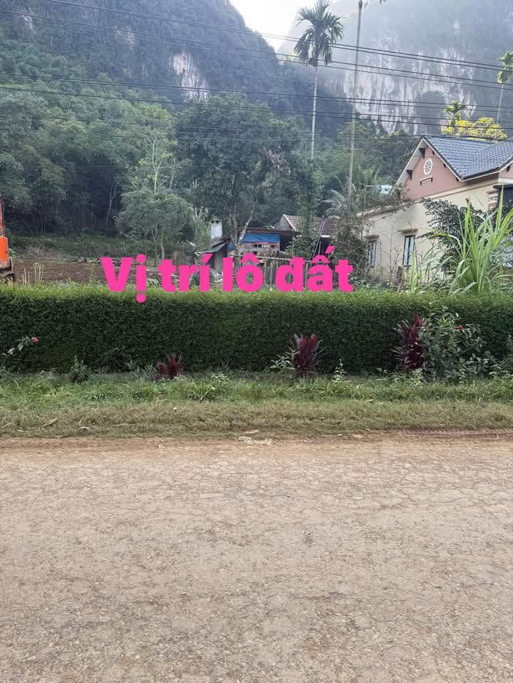 Đất nền kinh doanh Xã Ngọc Sơn 200m² - Giá tốt không thể bỏ lỡ!