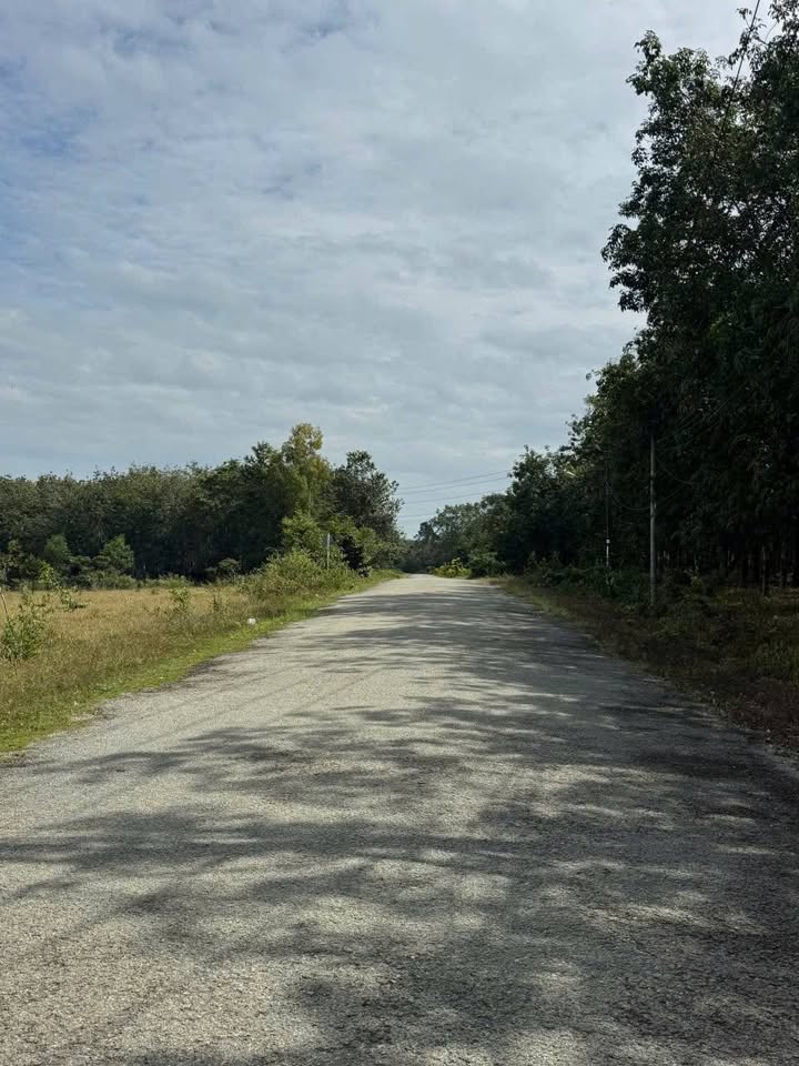 Kho xưởng 1,7 ha tại Phước Hòa, Phú Giáo - Đầu tư sinh lời ngay!