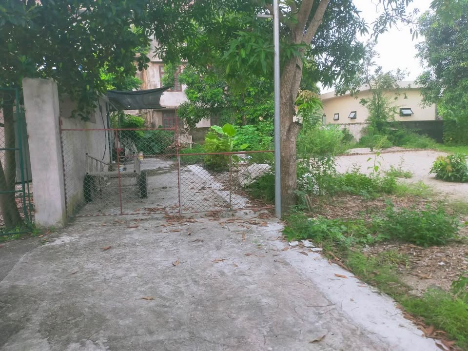 Đất nền chính chủ tại Đông Ngoạn, Nghĩa Đạo 94.4m² - Đường ô tô vào tận nơi!