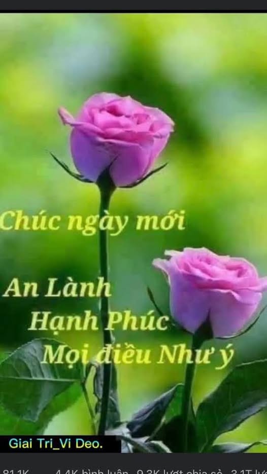 Đất TDP Long Cương Xuân Hòa 282m² giá 1.3 tỷ - Mặt tiền 11m đường thông thoáng