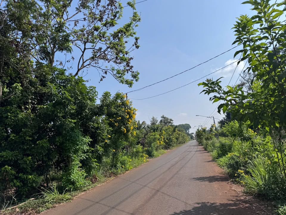 Đất nền Bình Lộc 97m² giá 879 triệu - Cơ hội đầu tư hấp dẫn!