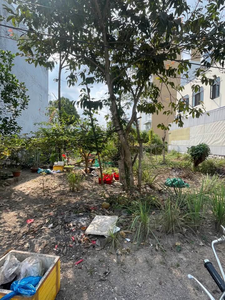 Đất nền đẹp tại khu Bắc Hà Hoàng Hổ, 80m² giá 2 tỷ - Cơ hội đầu tư hấp dẫn!