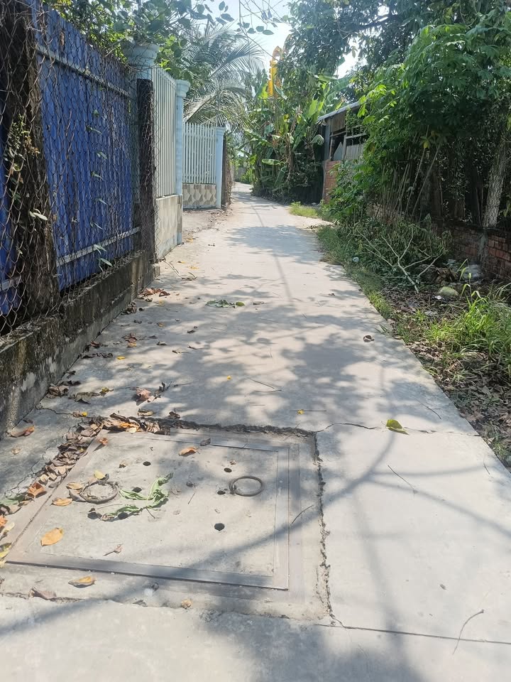 Đất nền Tân Mỹ Chánh, 55m² giá 3xx triệu - Sổ hồng chính chủ!