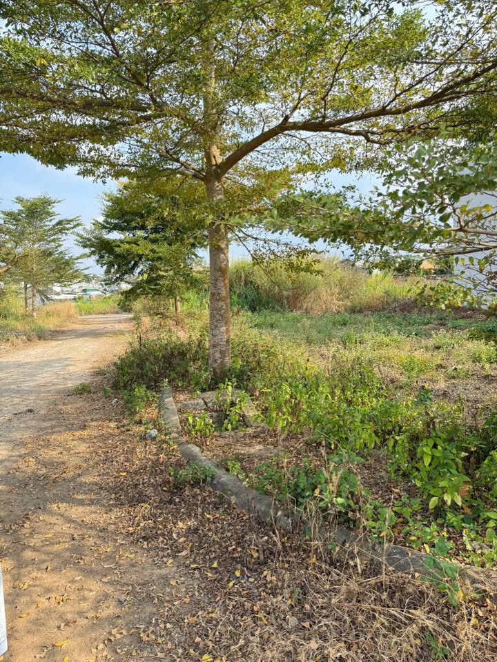 Đất nền Lạc Hồng - Đức Trọng 253m² giá 2.7 tỷ - Đầu tư sinh lời