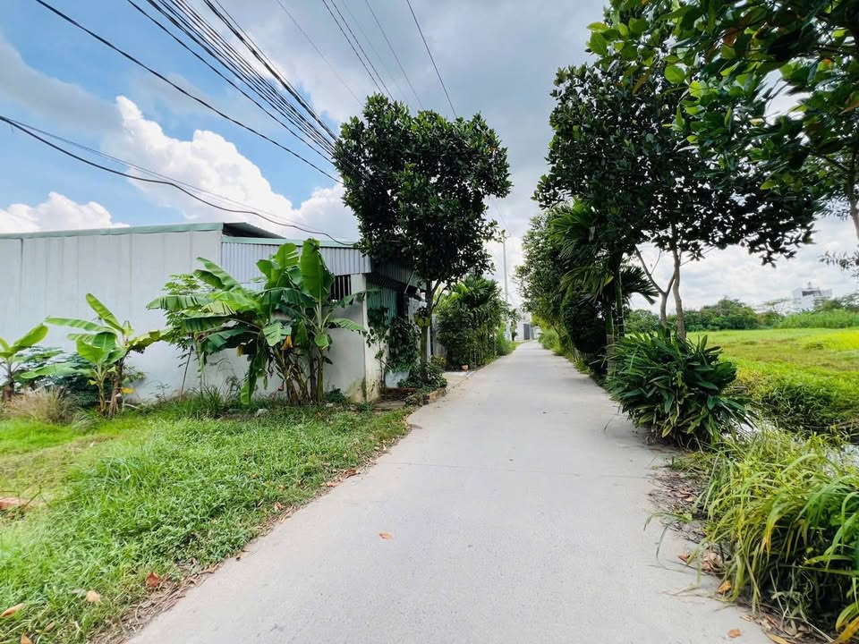 Đất thổ cư 125m² tại Mỹ Hạnh Nam, Long An giá chỉ 1.5 tỷ - Cơ hội đầu tư tuyệt vời!