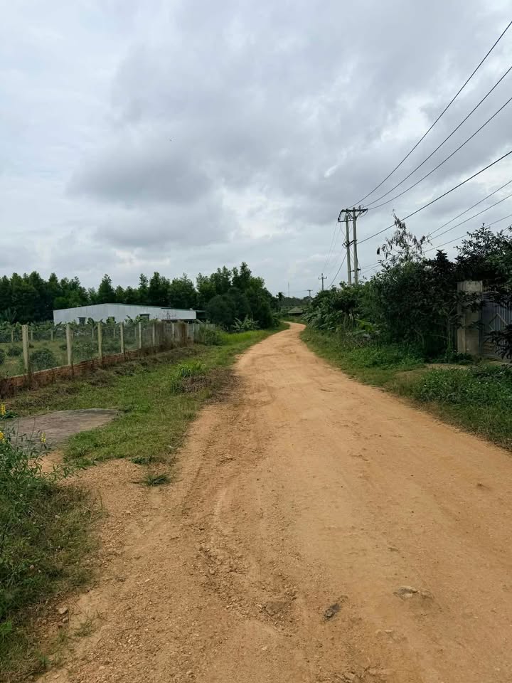 Đất nông nghiệp 16200m² tại xã Ea Đar, huyện Ea Kar - Cơ hội đầu tư hấp dẫn!