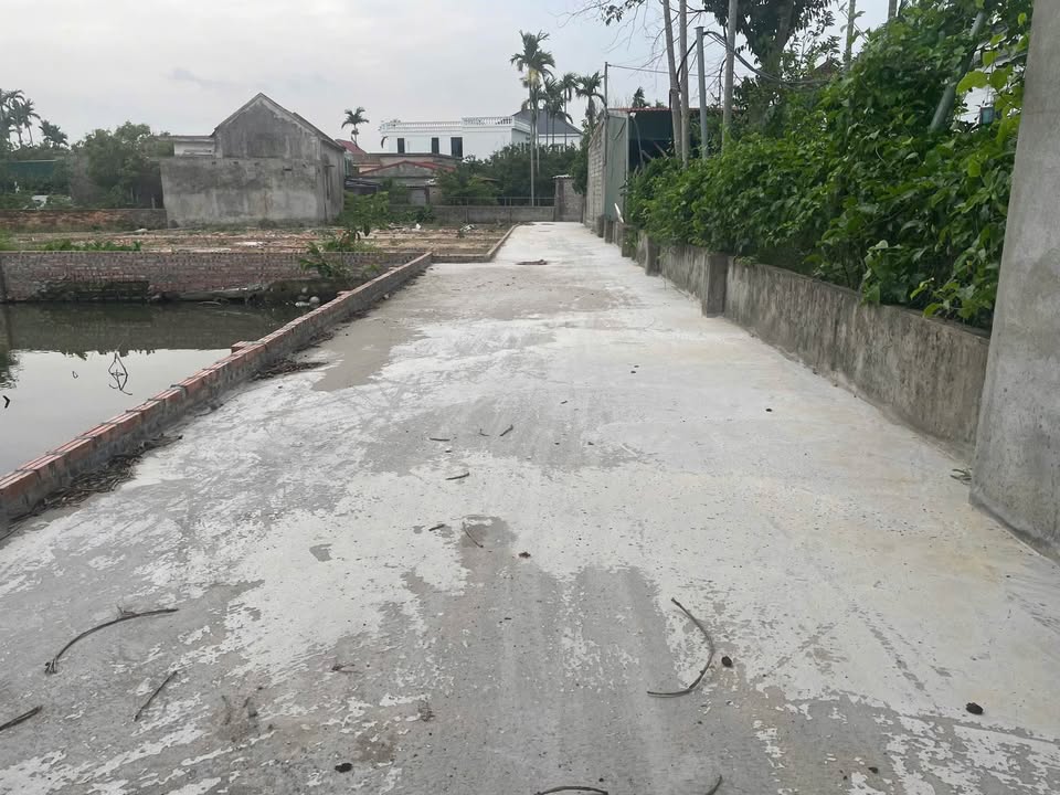 Lô đất 60m² TDP Nhu Kiều, An Dương giá 850 triệu - Đầu tư sinh lời ngay!