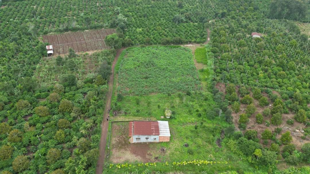 Đất thổ cư 300m² tại xã Bình Thuận, Đắk Lắk giá 1.5 tỷ - Cơ hội đầu tư tuyệt vời!