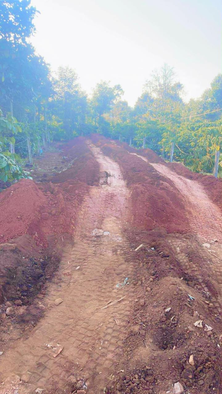 Đất nền xã Đức Mạnh, Đắk Mil 210m² giá 1.15 tỷ - Mặt tiền đường nhựa thuận lợi kinh doanh!