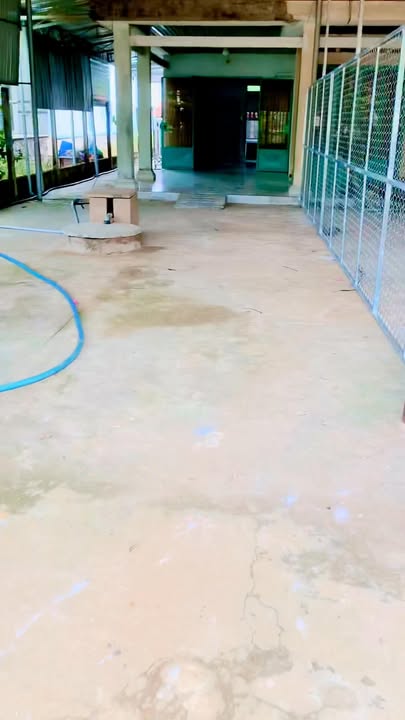 Đất nền ấp Thanh An, Tân Biên, 250m² giá 200 triệu - Cơ hội đầu tư tuyệt vời!