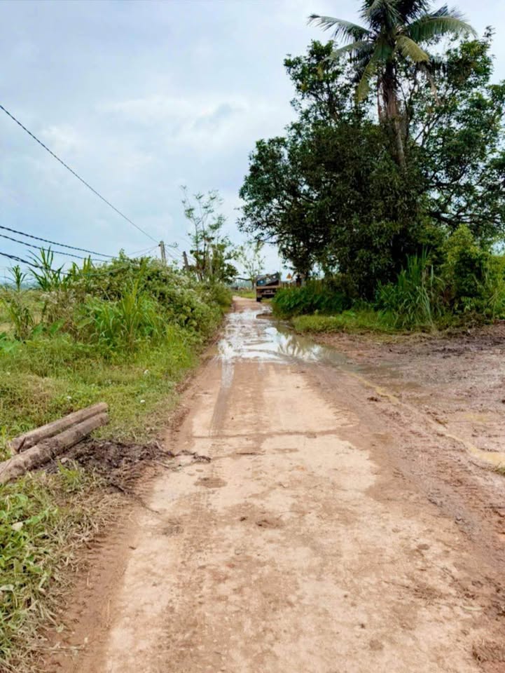 Đất nền Cát Chánh, Phù Cát 175m² giá tốt - Cơ hội đầu tư hấp dẫn!