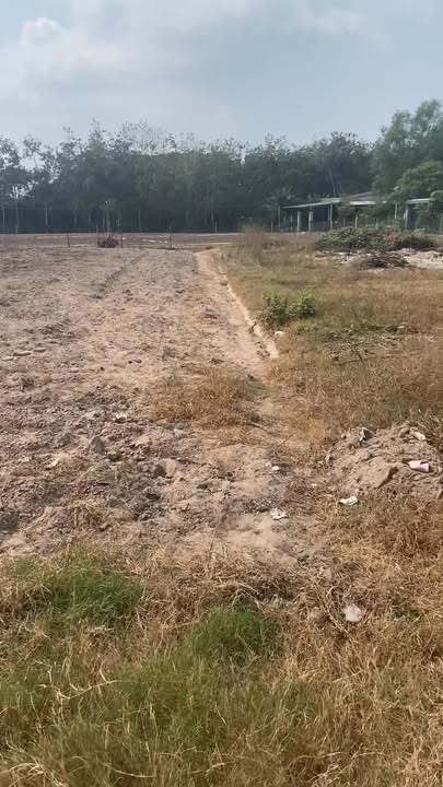 Đất nền Lộc Trát, Trảng Bàng 340m² giá 750 triệu - Đất cao ráo, giao thông thuận lợi!