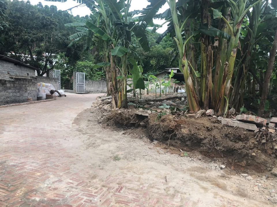 Đất nền Thôn Triệu, Xã Đan Hội, 285m² chỉ 900 triệu - Đầu tư sinh lời!