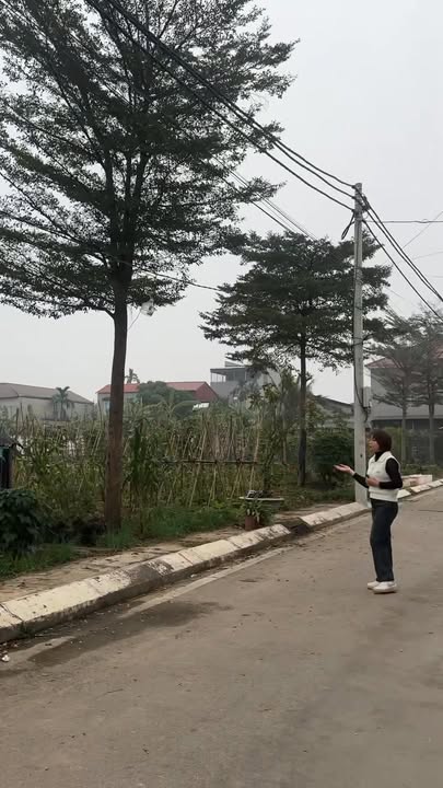 Đất thổ cư 160m² Lâm Thao Phú Thọ chỉ 1 tỷ - Đường nhựa lớn, ô tô tránh thoải mái!