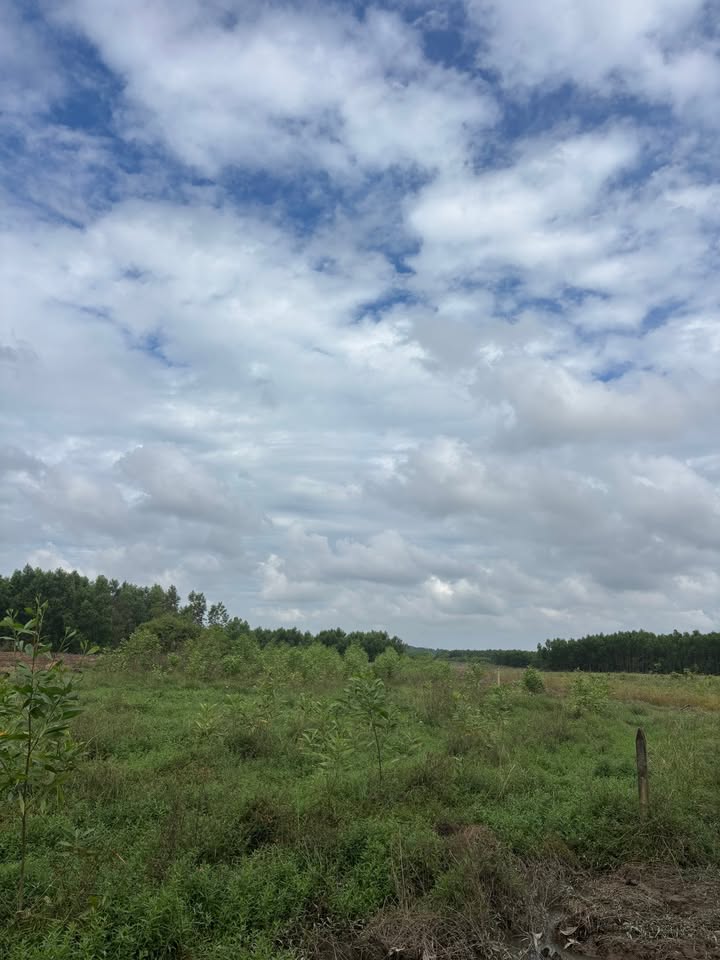 Đất nền Ấp Tân Hòa, Xã Xuân Thành, 2200m² giá 350 triệu - Đường ô tô vào tận nơi!