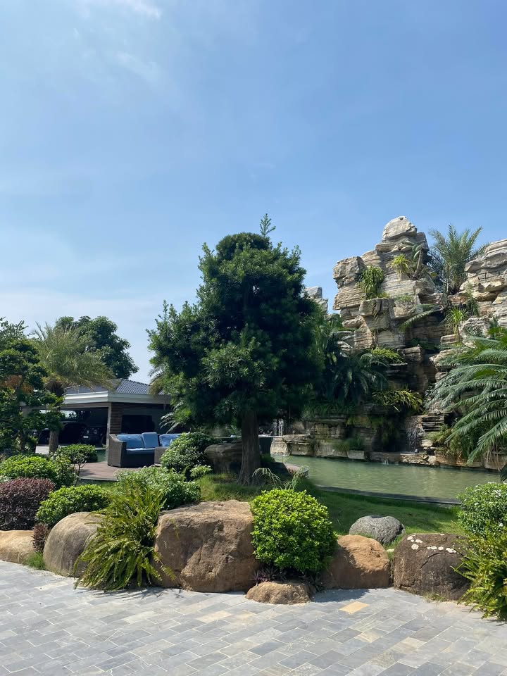 Đất ở giãn dân Châu Phong, Quế Võ, Bắc Ninh 130m² - Tiềm năng sinh lời cao!