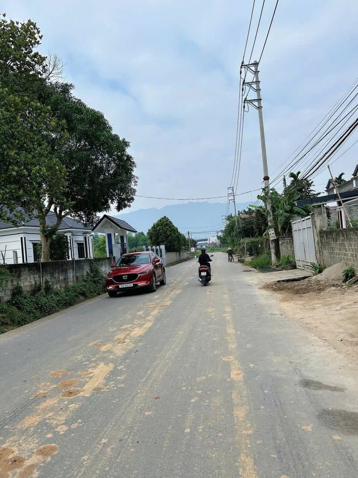 Đất mặt đường nhựa Cự Đồng, Thanh Sơn 300m² - Kinh doanh thuận lợi!