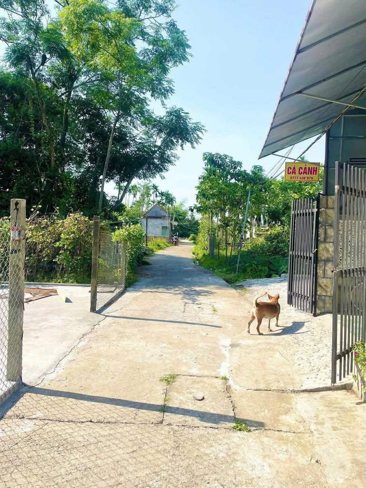 Đất nền kiệt Kênh N22, Hòa Liên 140m² giá 600 triệu - Đầu tư sinh lời ngay!