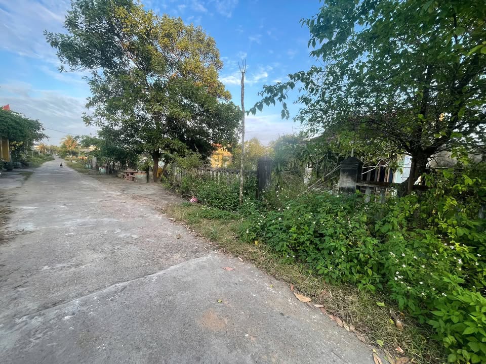 Đất nền Vườn Biển Bình Dương, 1000m² giá 6.5 tỷ - Cơ hội đầu tư sinh lời!