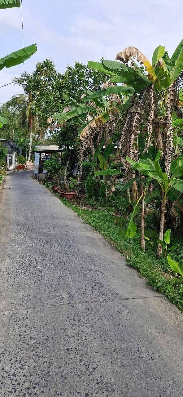 Cho thuê mảnh vườn 8.000m² tại Cái Răng - Giá chỉ 3,5 triệu/tháng