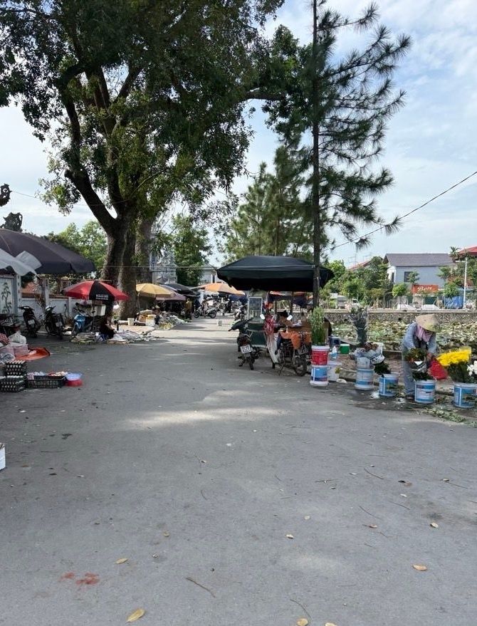 Bán đất Văn Bình, Thường Tín 50m² giá 4 tỷ - Vị trí đắc địa gần Vành Đai 4