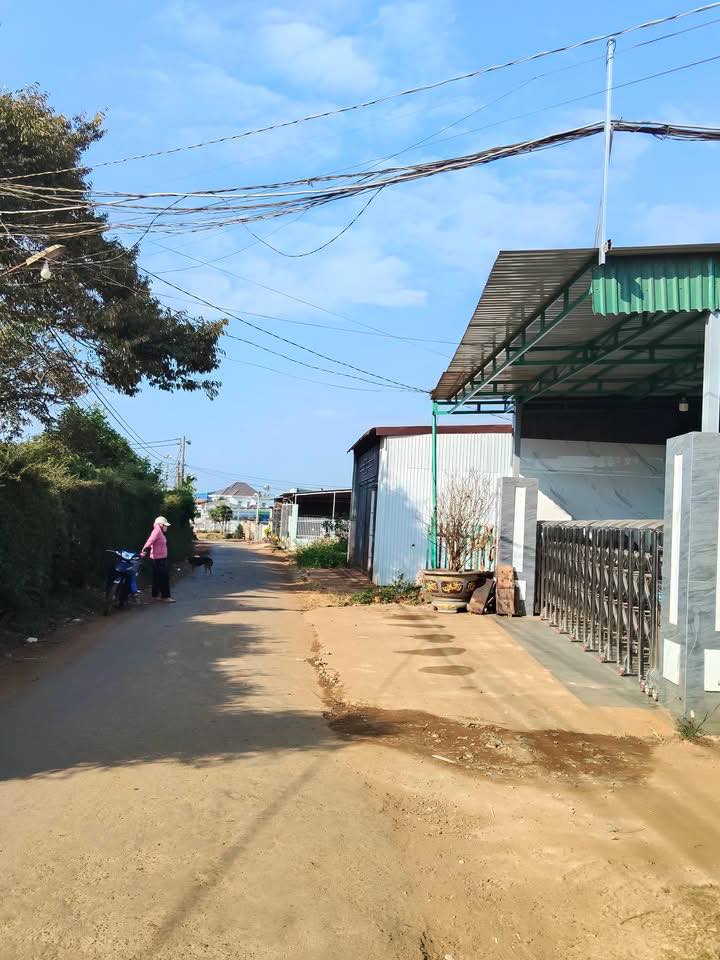 Đất thổ cư Tân Lập 3, Krông Bông 175m² giá 11.2 tỷ - Đầu tư sinh lời!