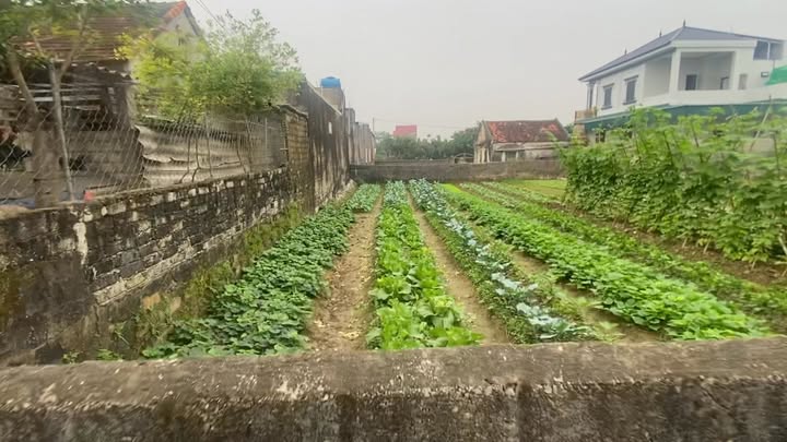 Đất nền Xóm 4 Diễn Xuân 126m² giá 1.7 tỷ - Đường ô tô vào tận nơi!