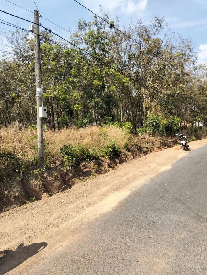 Đất nền Lộc Thịnh, Bình Phước 250m² giá 230 triệu - Cơ hội đầu tư không thể bỏ qua!