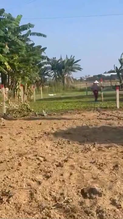 Nhà mặt tiền Đào Tấn, Thị trấn Nam Phước, 165m² giá chỉ 600 triệu - Cơ hội đầu tư hấp dẫn!