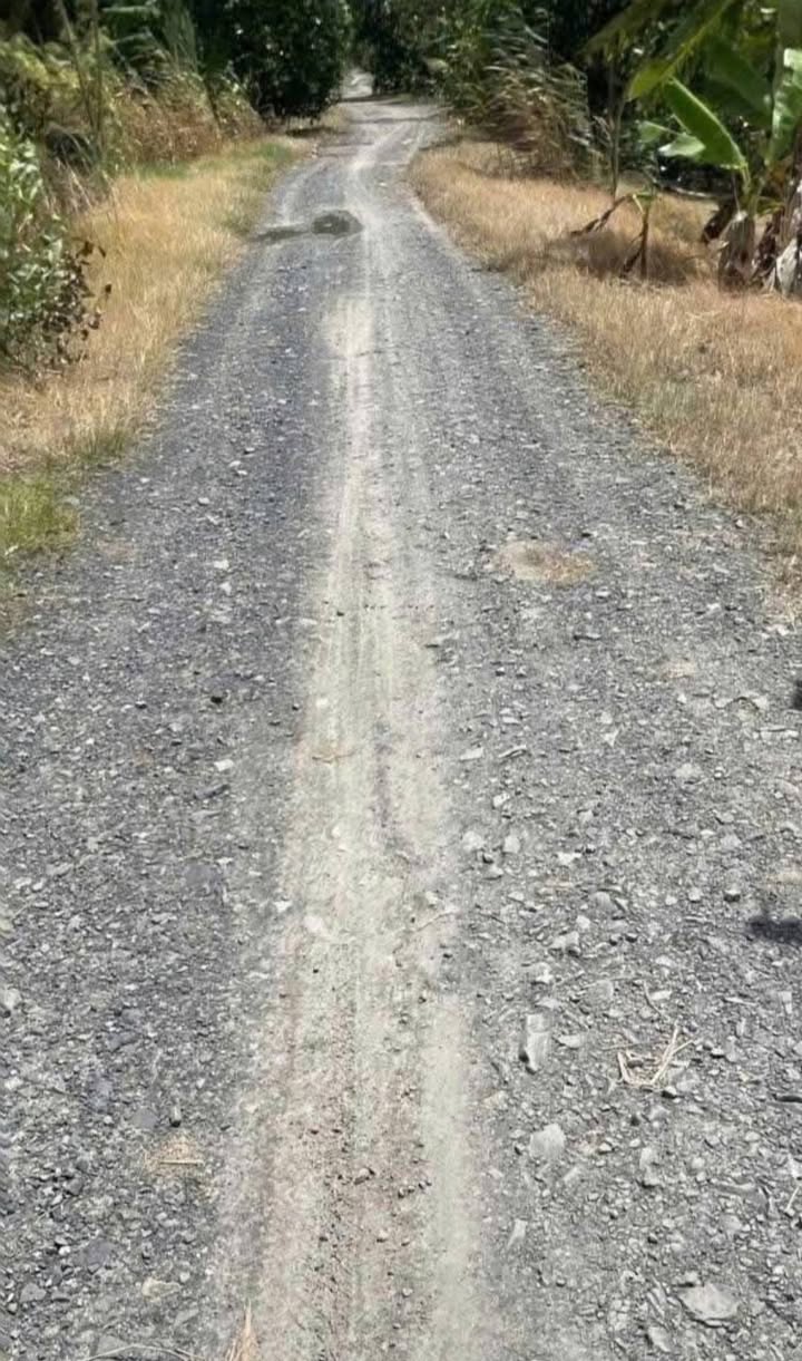 Đất ruộng 2000m² tại Đốc Binh Kiều, Tháp Mười - Giá chỉ 870 triệu!