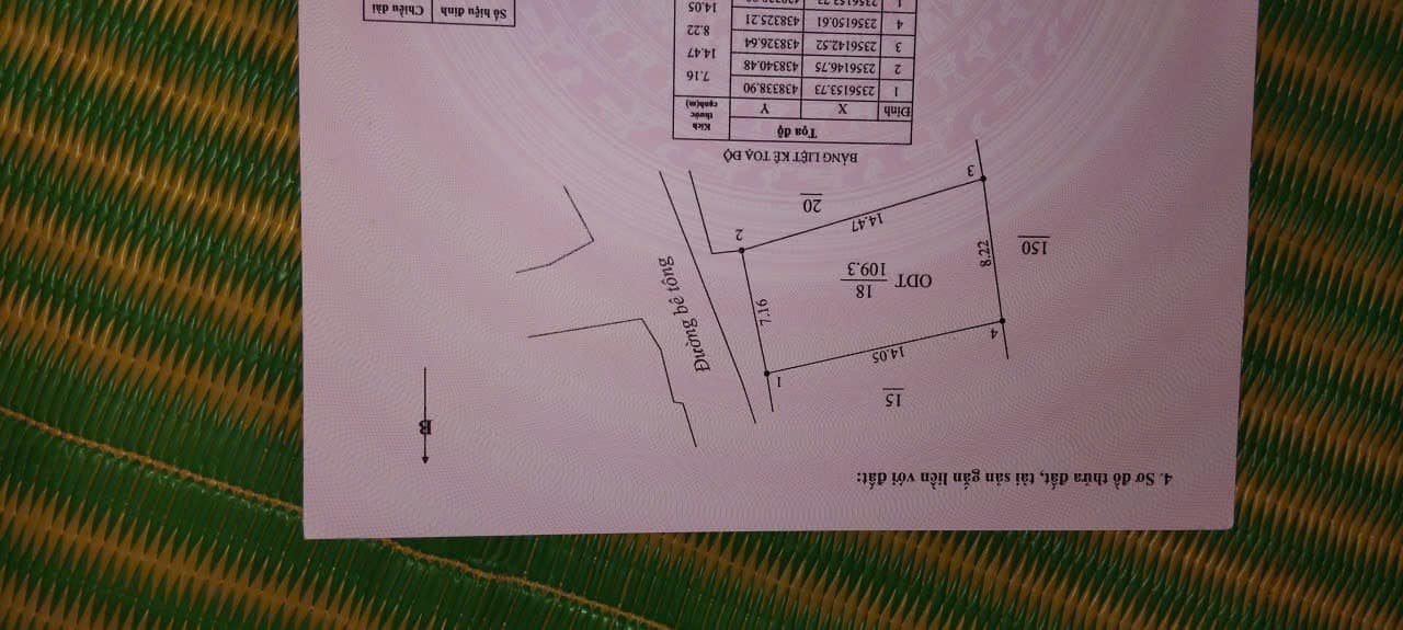 Đất nền đẹp thị trấn Đồi Ngô 110m² giá 1.5 tỷ - Đầu tư sinh lời ngay!