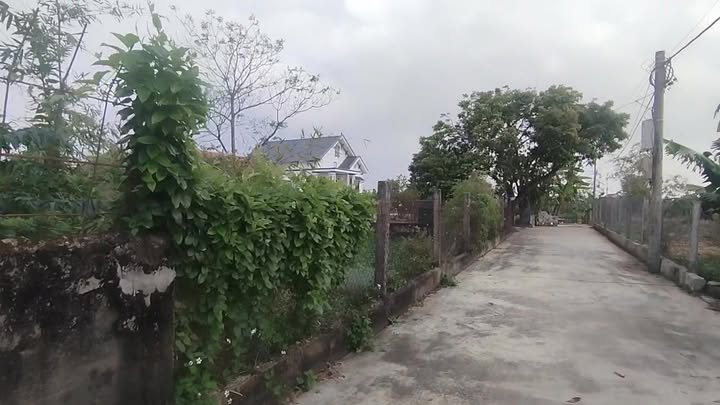 Đất nền 1400m² tại Ân Hòa, Kim Sơn - Mặt tiền 26,9m, hướng Đông Nam