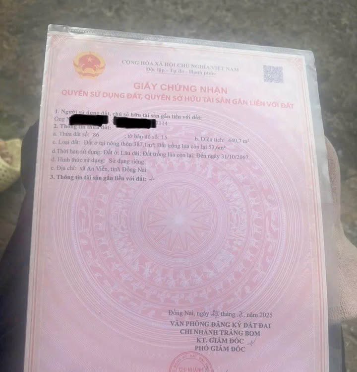 Đất nền Ấp Tân Hưng, Xã An Viễn 440m² giá 2.5 tỷ - Sổ đỏ chính chủ!