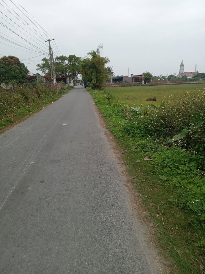 FrontHouse Hoà An, Thái Thụy, Thái Bình 100m² giá 1 tỷ - Sổ đỏ chính chủ, kinh doanh thuận lợi!