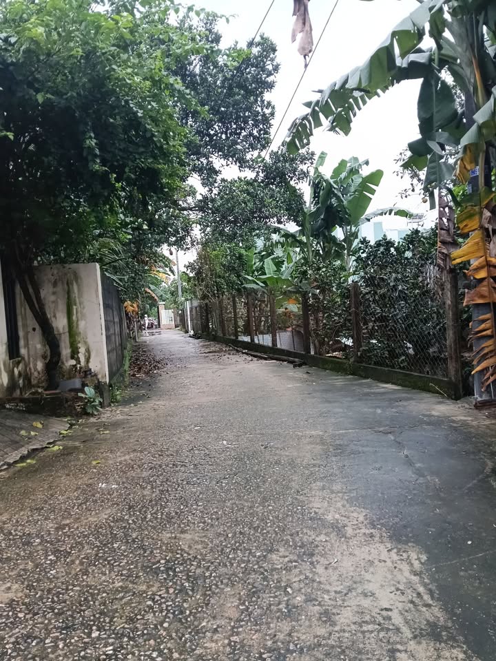 Đất nền Hưởng Phước, Liên Chiểu 93m² giá 1.45 tỷ - Sổ hồng chính chủ, bán gấp!