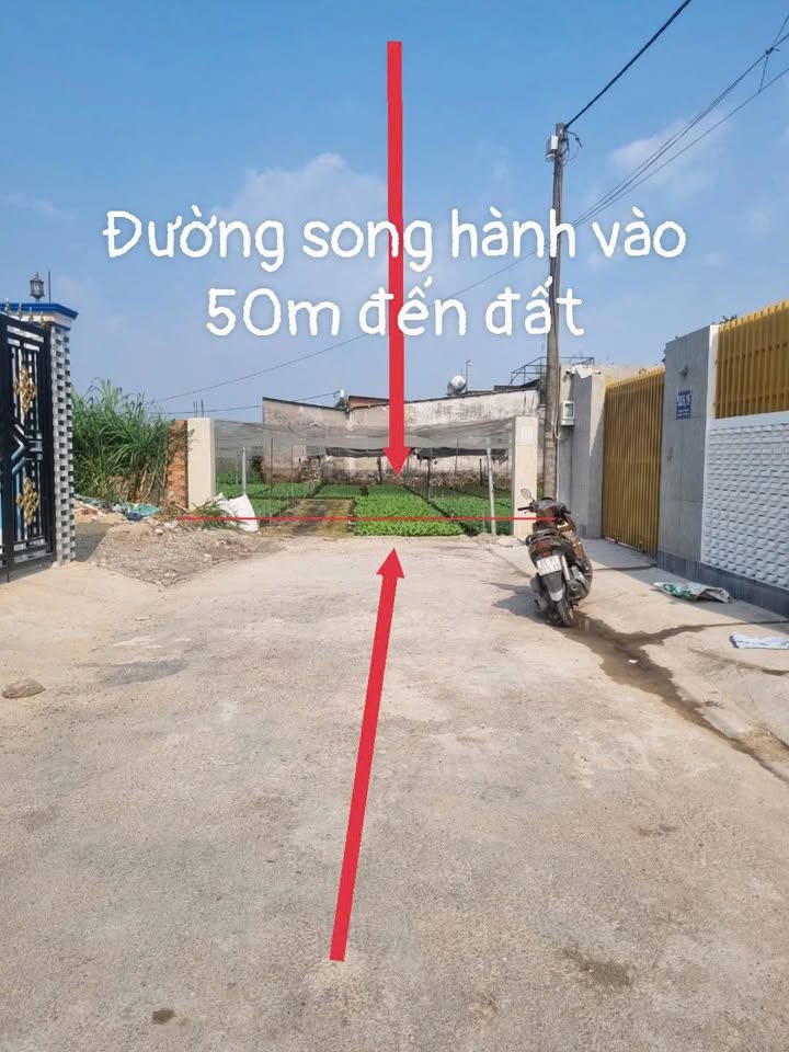 Đất trồng cây 1800m² tại Xã Tân Hiệp, Huyện Hóc Môn - Giá 18 tỷ, đầu tư sinh lời