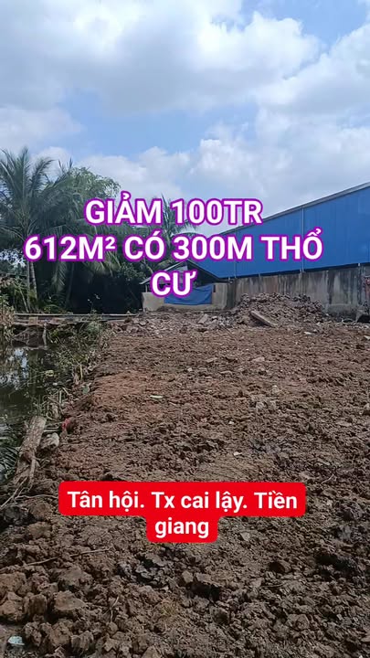 Đất nền 612m² tại Tân Hội, Cai Lậy chỉ 590 triệu - Cơ hội đầu tư hấp dẫn!