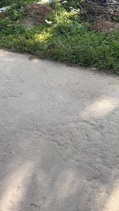 Đất nền đường Tố Hữu, phường Bồng Sơn, 367m² giá 3.3 tỷ - Chính chủ bán gấp!