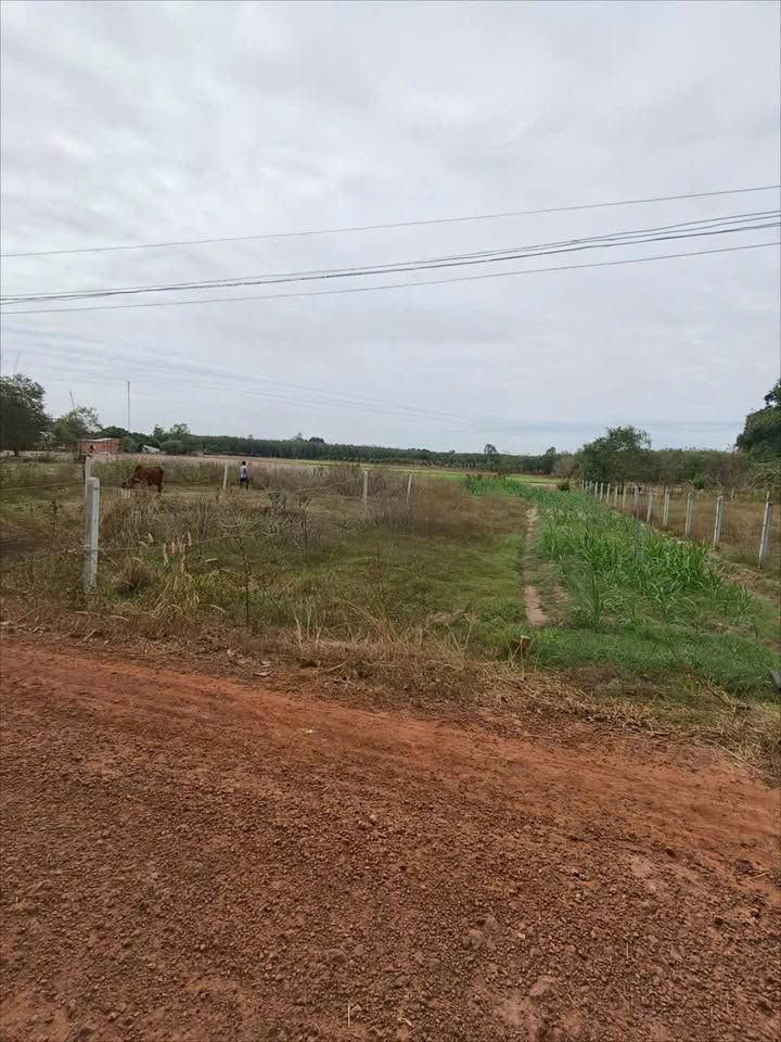 Đất nền ấp Phước Lập 150m² giá 190 triệu - Cơ hội đầu tư tốt!