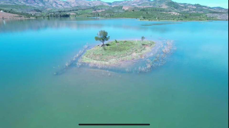 Farm 2,2ha Cà Phê Tại Tân Sang, Sa Thầy, Kon Tum - Giá Chỉ 4 Tỷ