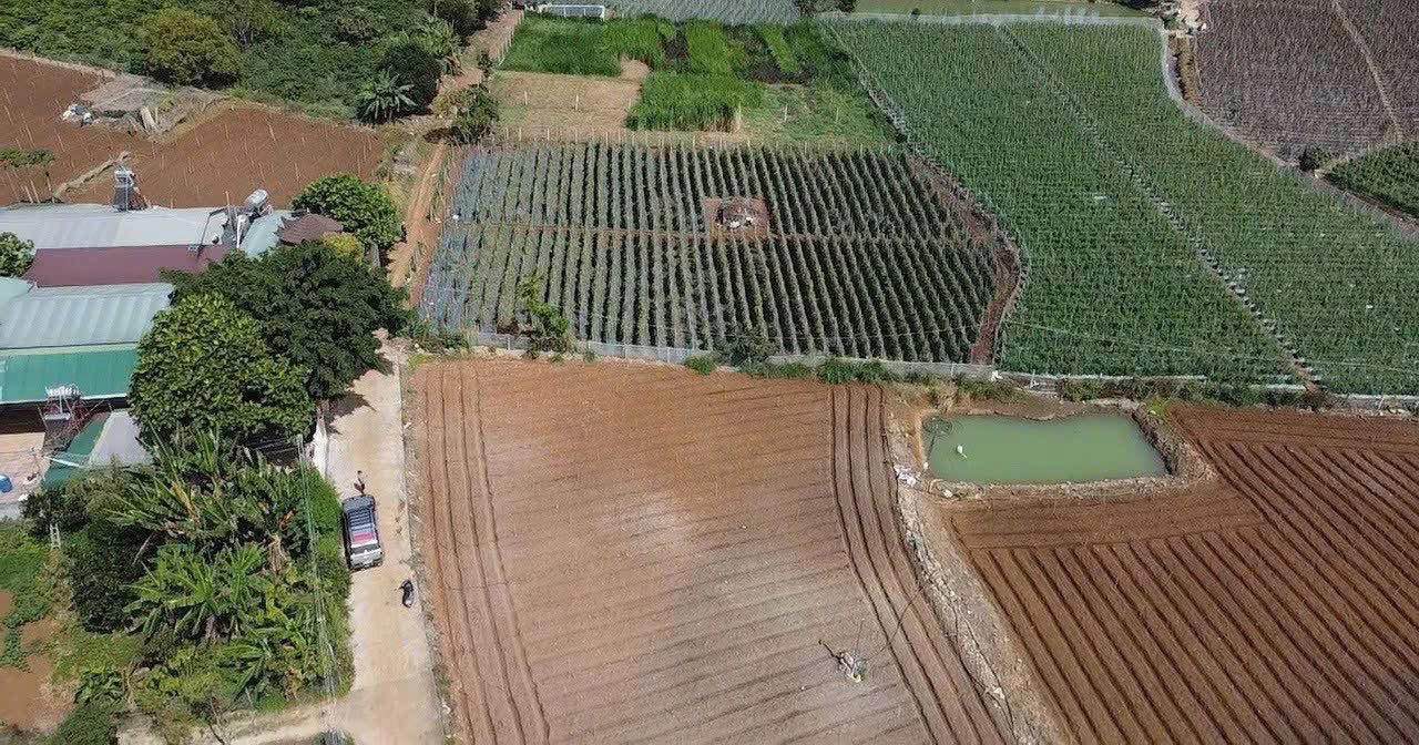 Đất nền 1000m² Phú Hội giá 1.5 tỷ - Đầu tư thông minh!