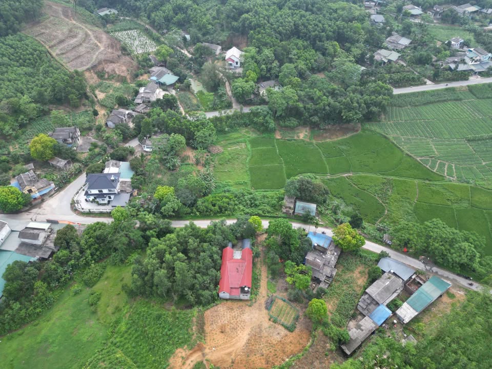 Đất nền xã Vĩnh Chân, Huyện Hạ Hoà, Phú Thọ 139m² giá chỉ 500 triệu - Đầu tư sinh lời ngay!