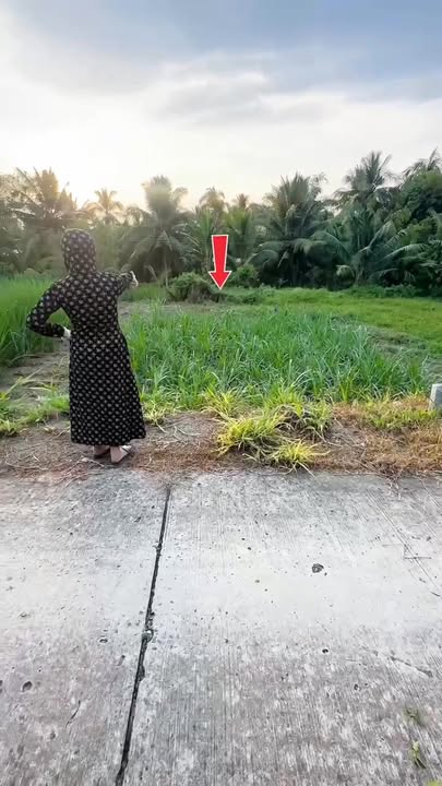 Đất nền chính chủ 132m² tại xã Hòa Hiệp, 259 triệu - Sổ hồng sẵn giao ngay!