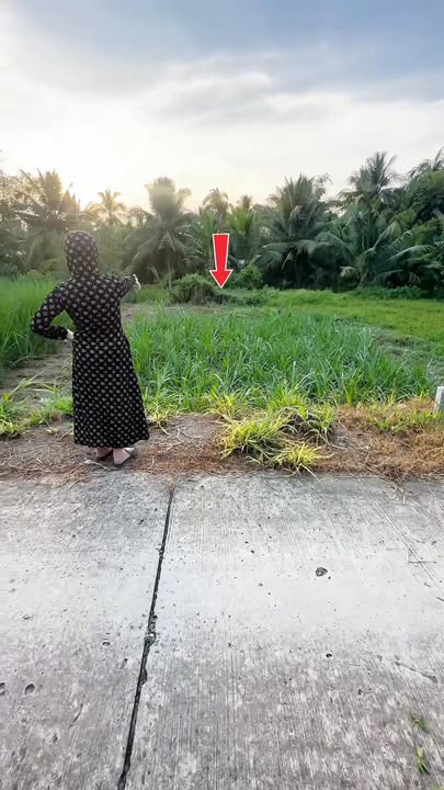 Đất nền xã Hòa Lộc, Huyện Tam Bình, 132m² giá chỉ 259 triệu - Sổ đỏ chính chủ!