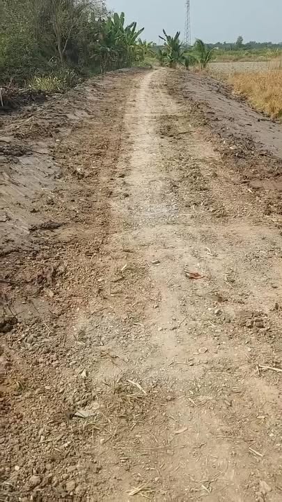 Đất nền mặt tiền sông kênh Ba Vồn Lớn Bến Lức 500m² giá chỉ 750 triệu - Đầu tư sinh lời hấp dẫn!